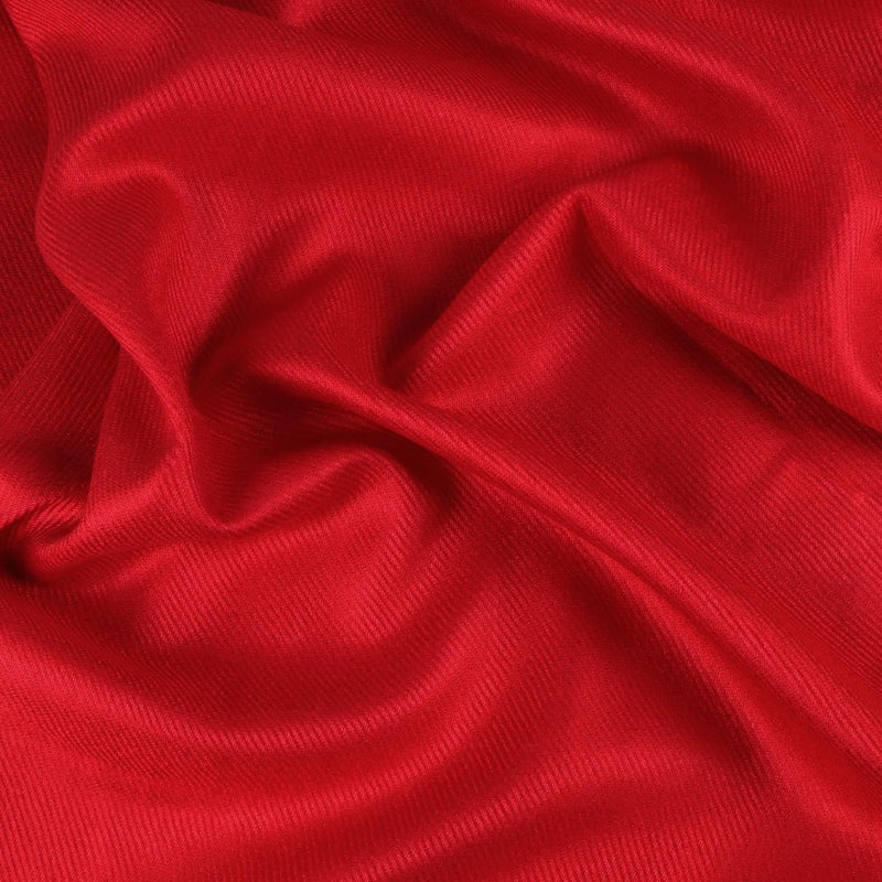 TZ Promise Women's Pashmina Shawls and Wraps for Evening Dress Soft Wedding Bridal Winter Warm Long Large Scarves (Red) - Image 5